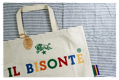 IL BISONTE