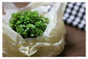 EASY VASE