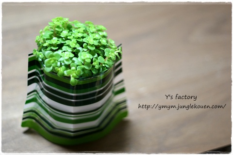 EASY VASE