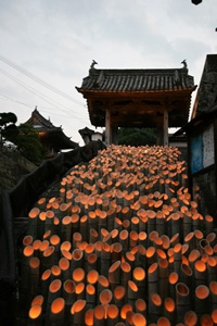 臼杵 竹宵