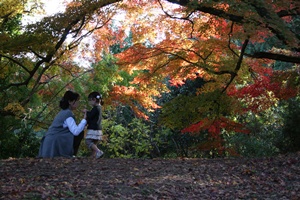 紅葉狩り