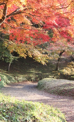 紅葉狩り