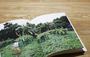 「おべんとうの時間」
