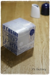 カストロ 2011/06/15 11:00:00