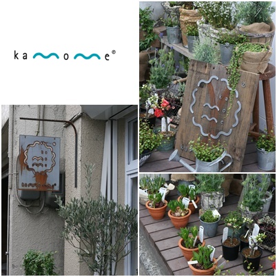 kamome