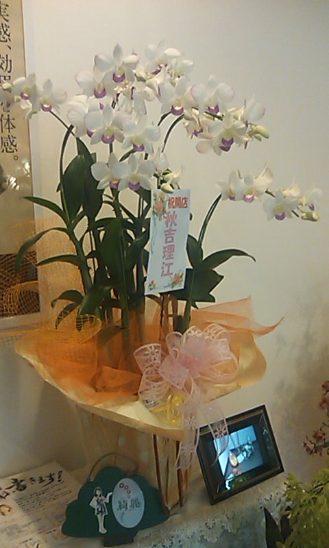 お花に囲まれる空間・・