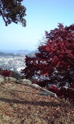 お散歩と言う名の登山