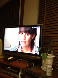 ｇｌｅｅシーズン2