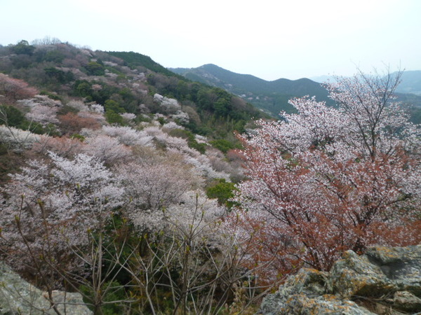 家族で初登山！