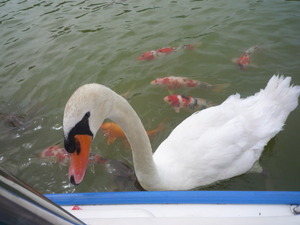 志高湖の休日♪