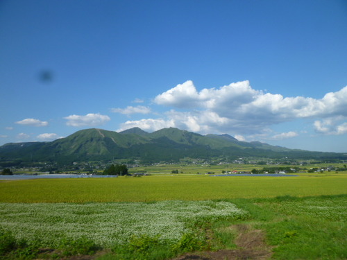 歌瀬キャンプ場へ。１日目♪