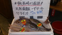 長崎直送！！「真鯛」、「一先」、「やりイカ」届きました！！